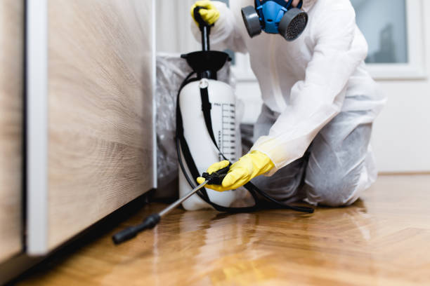 Best Local Pest Control Services  in Del Rey, CA