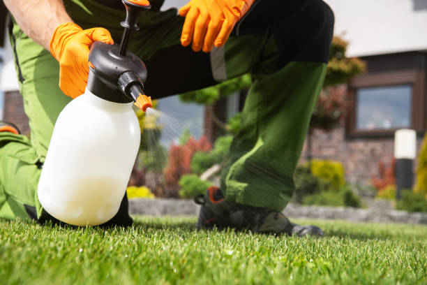 Best Cockroach Control Services  in Del Rey, CA