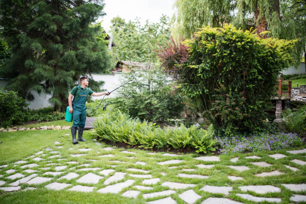 Best Insect Control  in Del Rey, CA
