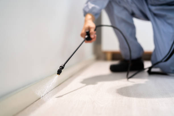 Best Wildlife Control Services  in Del Rey, CA