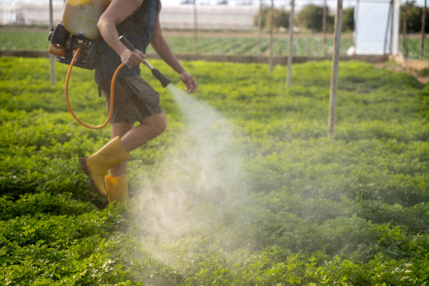 Best Pest Control for Businesses  in Del Rey, CA