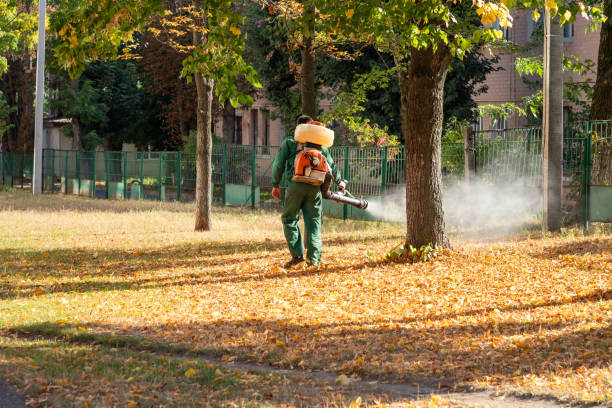 Wasp Removal Services in Del Rey, CA