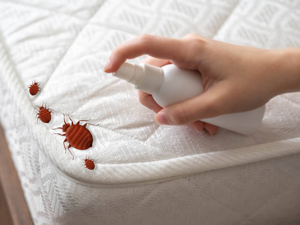 Best Wildlife Control Services  in Del Rey, CA