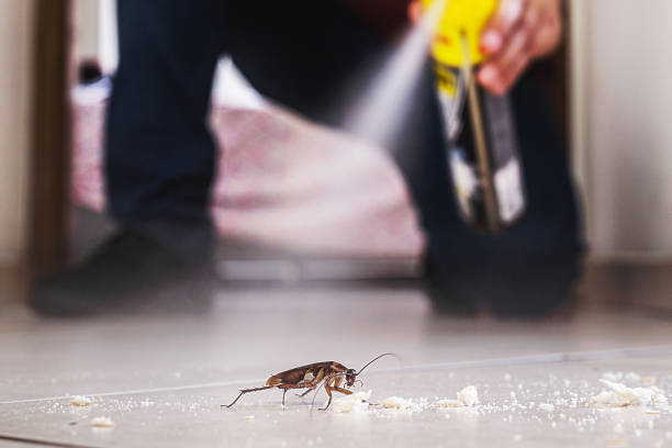 Best Exterminator Services  in Del Rey, CA